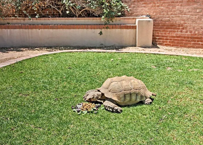 Pet-friendly Casita: Shared Swim Spa! *